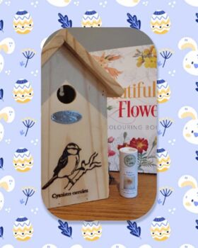 Bird Home And Sunflower Seeds Gift Set, 4 of 7