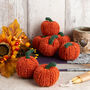 Mini Knitted Pumpkin Kit Halloween, thumbnail 2 of 4