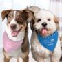 Funny Dog Bandana Dog Gifts, thumbnail 5 of 8