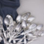 Silver Plated Vintage Cereal Spoon, thumbnail 3 of 3