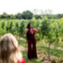 Oastbrook Vineyard Tour And Tasting For Two, thumbnail 4 of 12