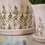 Varen Set Of Two Fern Planters With Trays, thumbnail 3 of 5