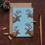Christmas Card Pack Mixed Robin And Reindeer Designs, thumbnail 5 of 8