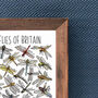 Dragonflies Of Britain Wildlife Print, thumbnail 8 of 8
