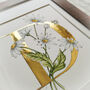 D Is For Daisy Gilded Initial Print, thumbnail 5 of 7