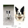 Personalised Pet Illustration Portrait Print, thumbnail 10 of 11