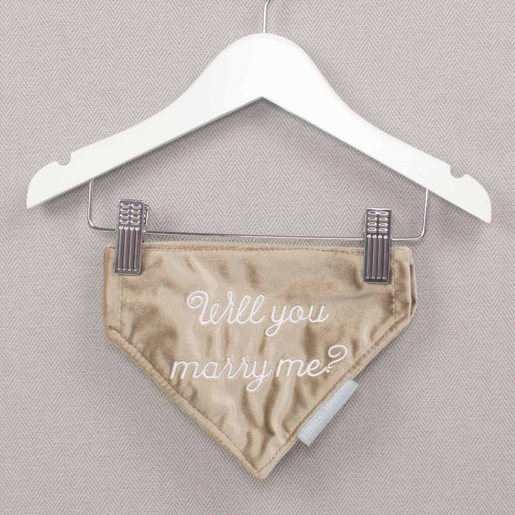'Will You Marry Me?' Dog Bandana By Lords & Labradors