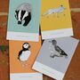 A Pack Of Eight Mixed Happy Birthday Cards, thumbnail 1 of 5