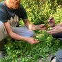 Brighton Nature Foraging And Seasonal Feast Experience For Two, thumbnail 7 of 7