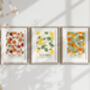 Marché Aux Fruits Abstract No.Two Art Print, thumbnail 1 of 8