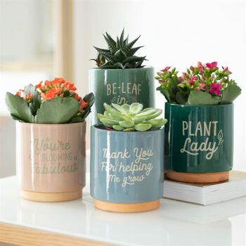 Thank You Uplifting Plant Pot Gift, 5 of 5