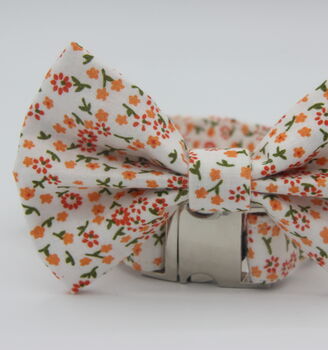 Orange Daisy Dog Bow Tie, 10 of 11