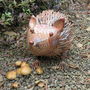 Garden Hedgehog, thumbnail 3 of 6