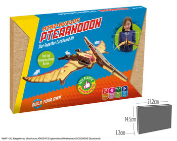 Build Your Own Personalised Pteranodon, 8 of 8