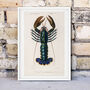 Framed Lobster Print, Vintage Crayfish Poster, thumbnail 2 of 7