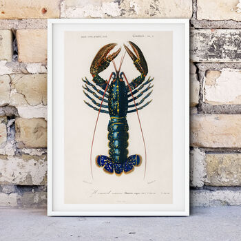 Framed Lobster Print, Vintage Crayfish Poster, 2 of 7