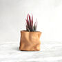 Personalised Mother's Day Plant In Leather Paper Bag, thumbnail 5 of 5