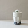 Concrete Planter Cactus Kit, thumbnail 9 of 12