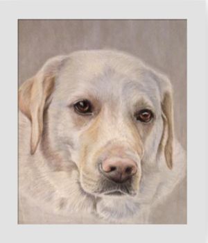 Personalised Pet Portrait Commission, 11 of 12