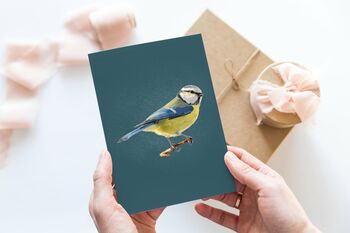Illustrated Blue Tit Greeting Card, 2 of 2