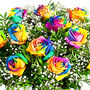 Dozen Rainbow Roses Bouquet Of Fresh Flowers, thumbnail 2 of 5