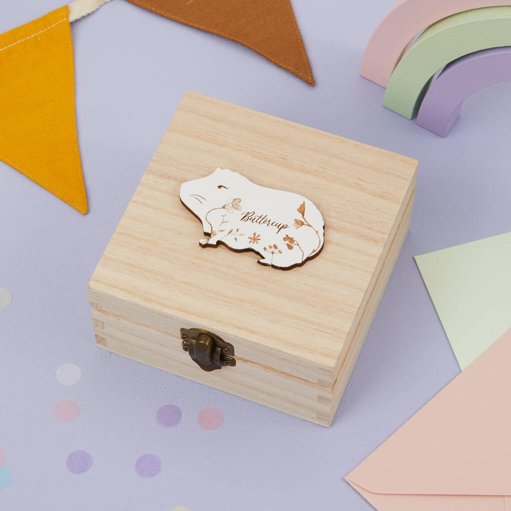 Personalised Pet Guinea Pig Jewellery Box Gift, 1 of 2