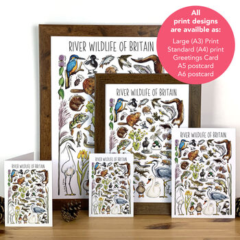 River Wildlife Of Britain Greeting Card, 4 of 9