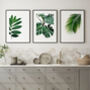 Set Of Three Botanical Green Leaves Prints, thumbnail 3 of 10