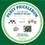 Percy Pricklebum Grow Your Own Cacti Kit Gardening Gift, thumbnail 5 of 7