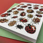 Ladybirds Of Britain Art Blank Greeting Card, thumbnail 7 of 11