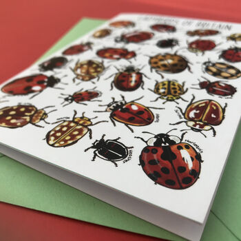 Ladybirds Of Britain Art Blank Greeting Card, 7 of 11