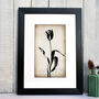 Tulip Fine Art Print Botanical Series, thumbnail 1 of 7