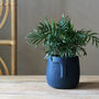 Blue Face Plant Pot, thumbnail 3 of 3