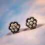 Sterling Silver Freshwater Pearl Stud Earrings, thumbnail 9 of 12