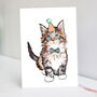 Kitten Birthday Card, thumbnail 1 of 3
