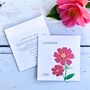 Dog Friendly Garden Design Gift Ideal For Container Gardens, thumbnail 2 of 5