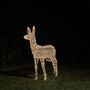Swinsty Doe Dual Colour LED Battery Outdoor Reindeer, thumbnail 2 of 3