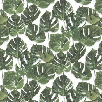 Monstera Green/Blush Wallpaper, 5 of 6