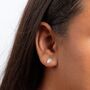 Sterling Silver Monstera Leaf Stud Earrings, thumbnail 3 of 6