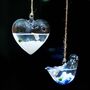 Hanging Glass Heart Vase Marimo Moss Ball, thumbnail 2 of 4