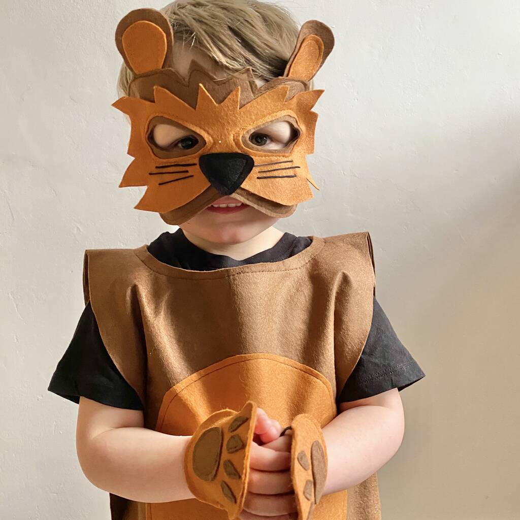 Felt Bear / Lion Costume For Children And Adults By Robin's Bobbins ...