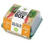 The Vibrant Veggies Box | Six Vegetables To Grow, thumbnail 5 of 7