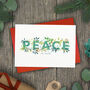 Peace On Earth Holly Foliage Christmas Card, thumbnail 1 of 2