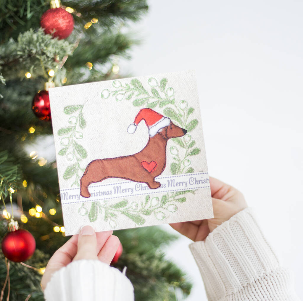 Pack Of Dachshund Christmas Cards By Ren And Thread