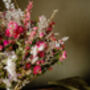 Dried Flower Bouquet Pink And White, thumbnail 2 of 3