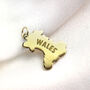 Personalised 9ct Gold Any Country Map Charm, thumbnail 4 of 9