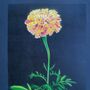 'Marigold' Large Original Handmade Botanical Study, thumbnail 2 of 12