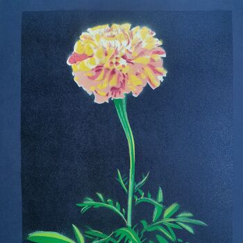 'Marigold' Large Original Handmade Botanical Study, 2 of 12