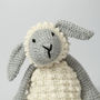 Lionel Lamb Knitting Kit, thumbnail 2 of 10