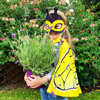 Personalised Bee Cape And Seed Set, 9 of 11